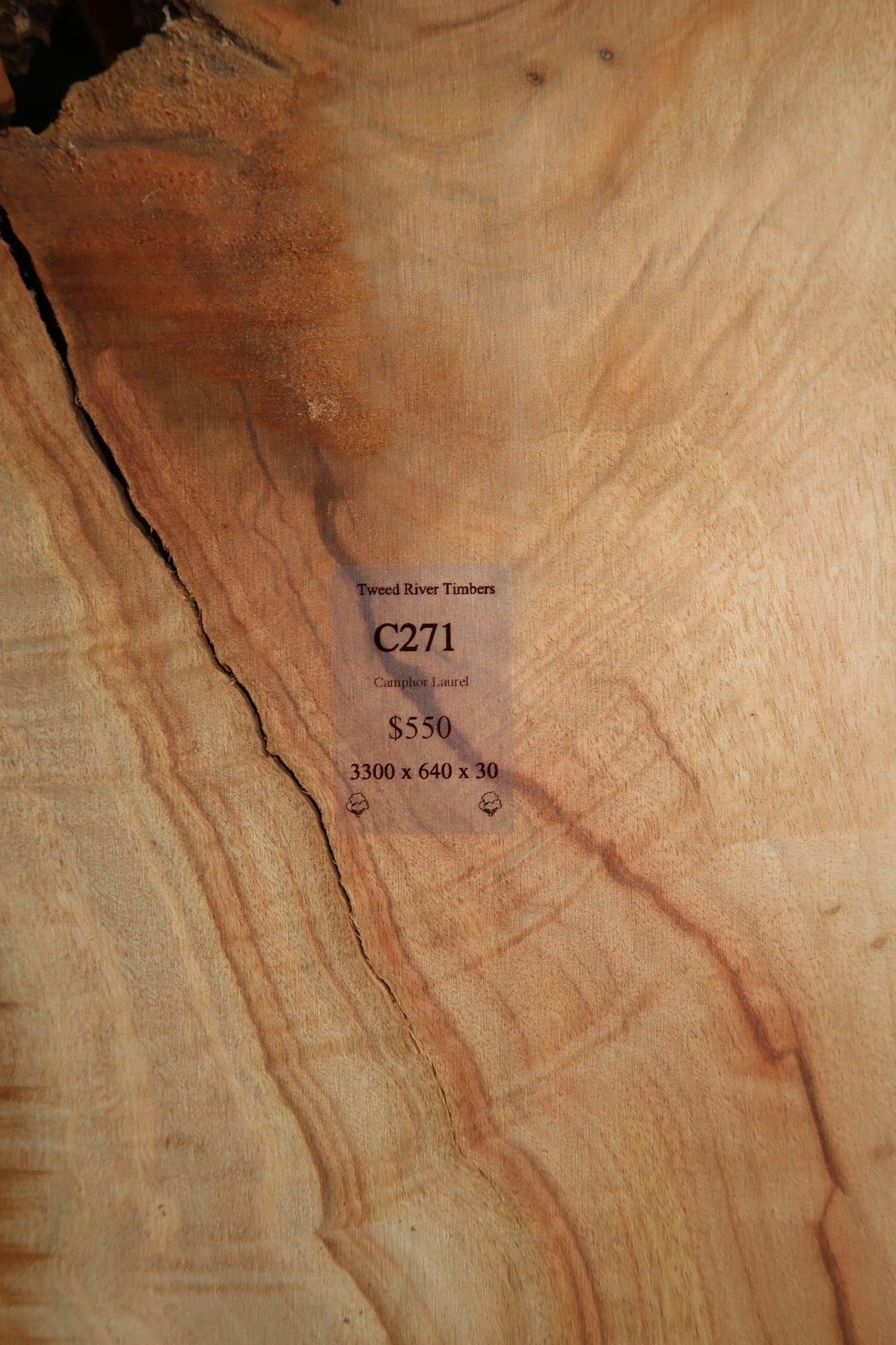 Camphor Laurel Slab - Sanded