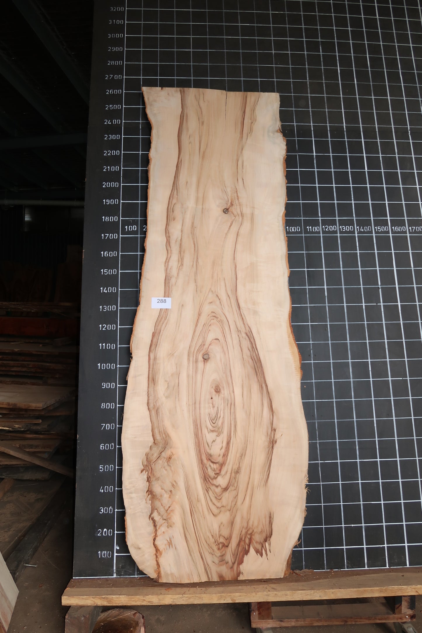 Camphor Laurel Slab- Sanded