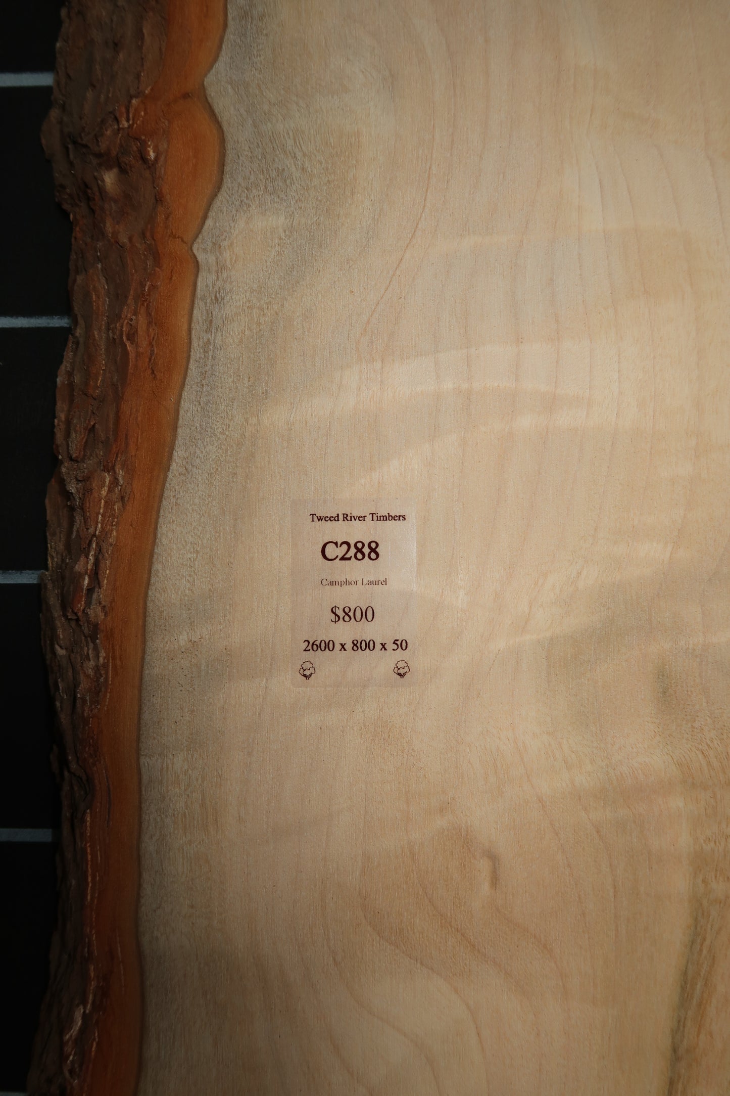 Camphor Laurel Slab- Sanded
