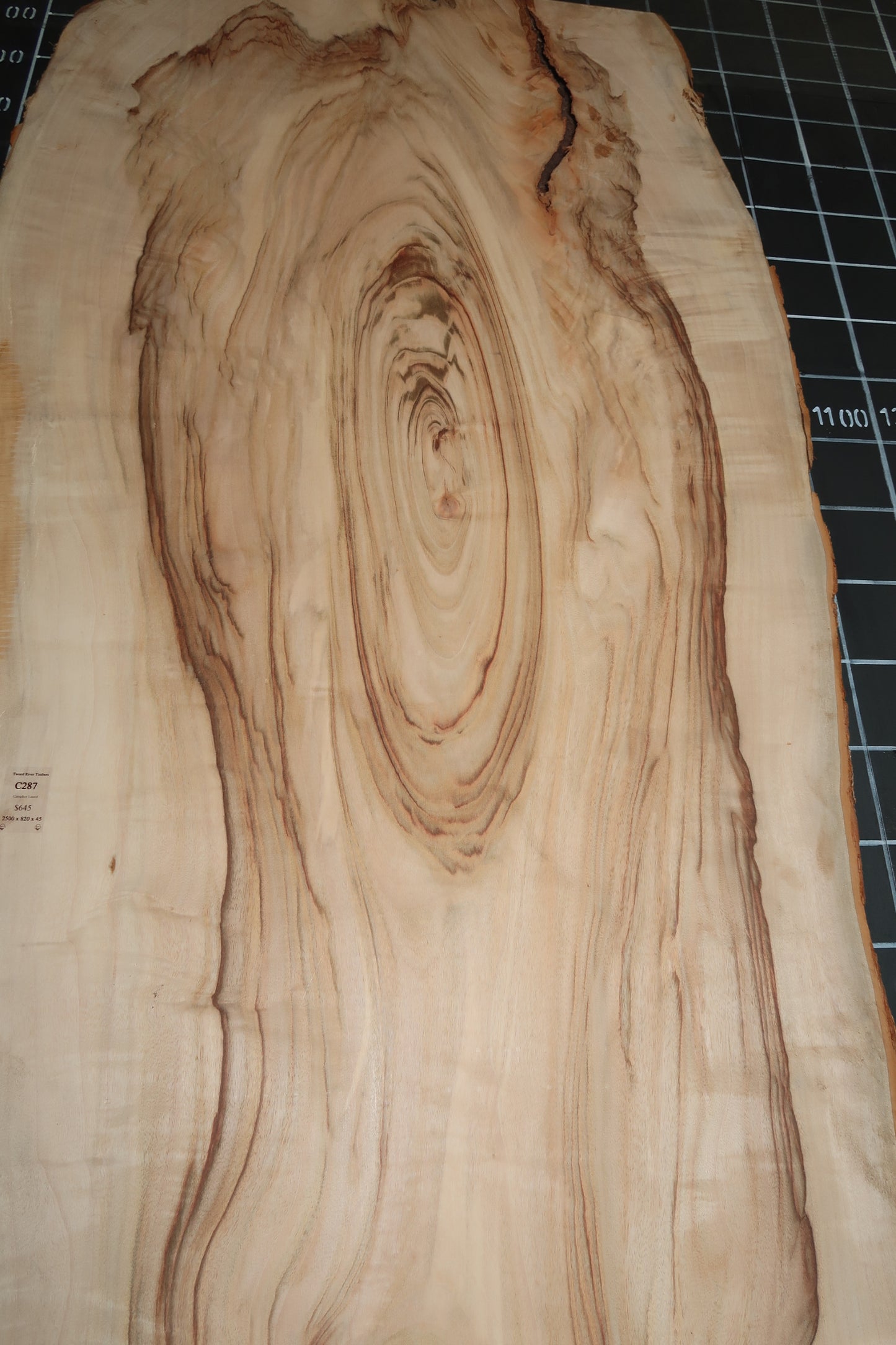 Camphor Laurel Slab- Sanded