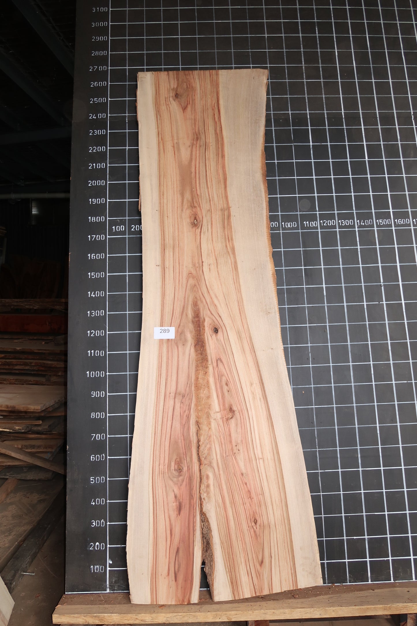 Camphor Laurel Slab- Sanded
