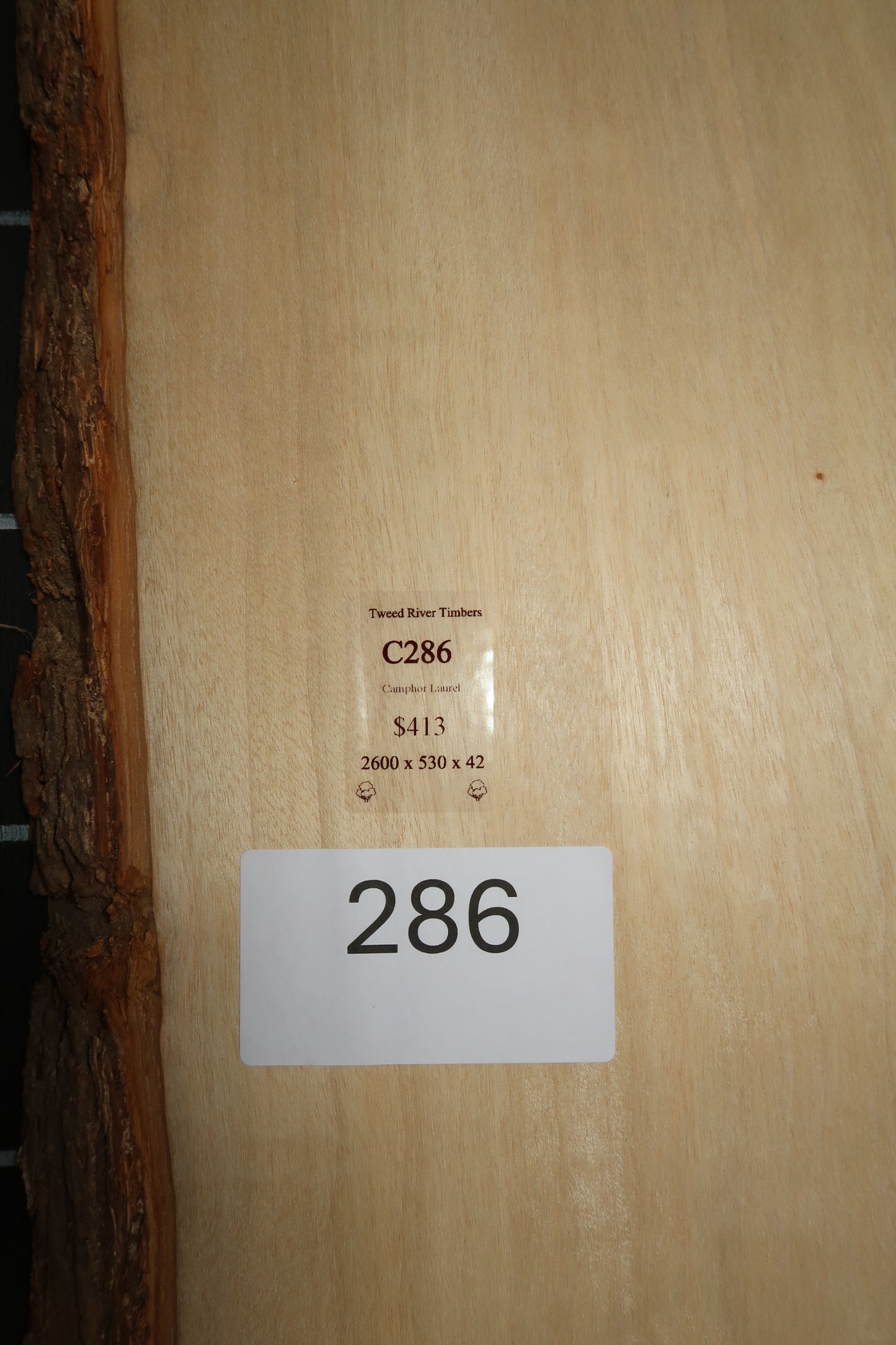 Camphor Laurel Slab - Sanded