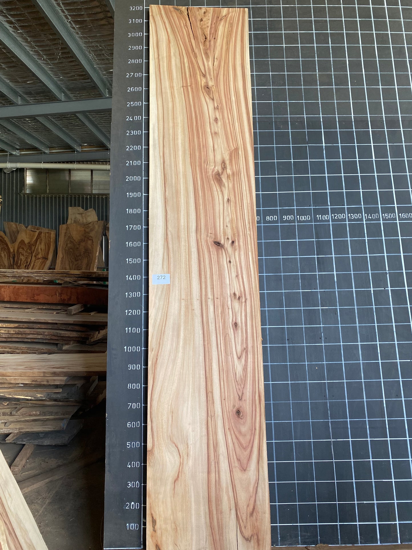 Camphor Laurel Slab - Sanded