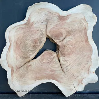 Camphor Cookie