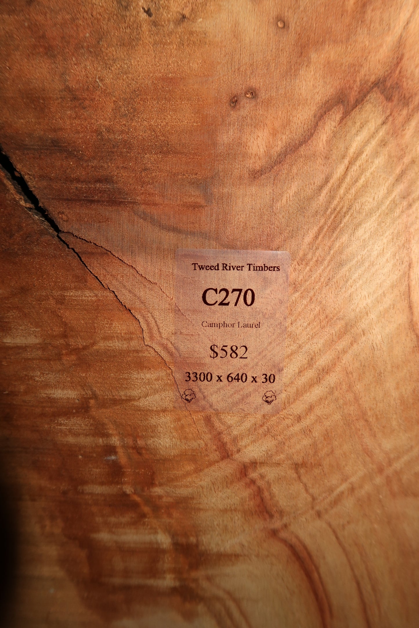 Camphor Laurel Slab- Sanded