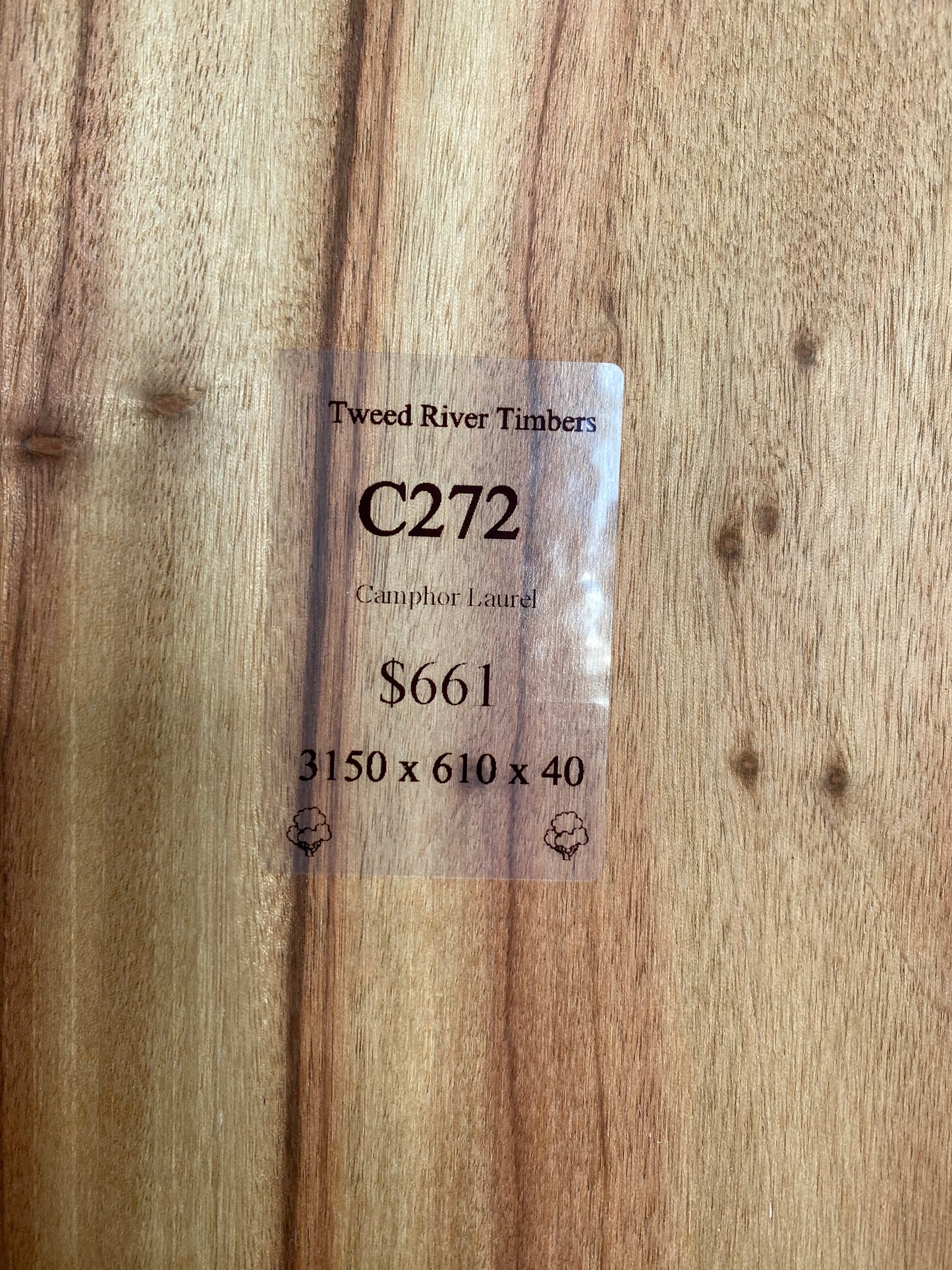 Camphor Laurel Slab - sanded