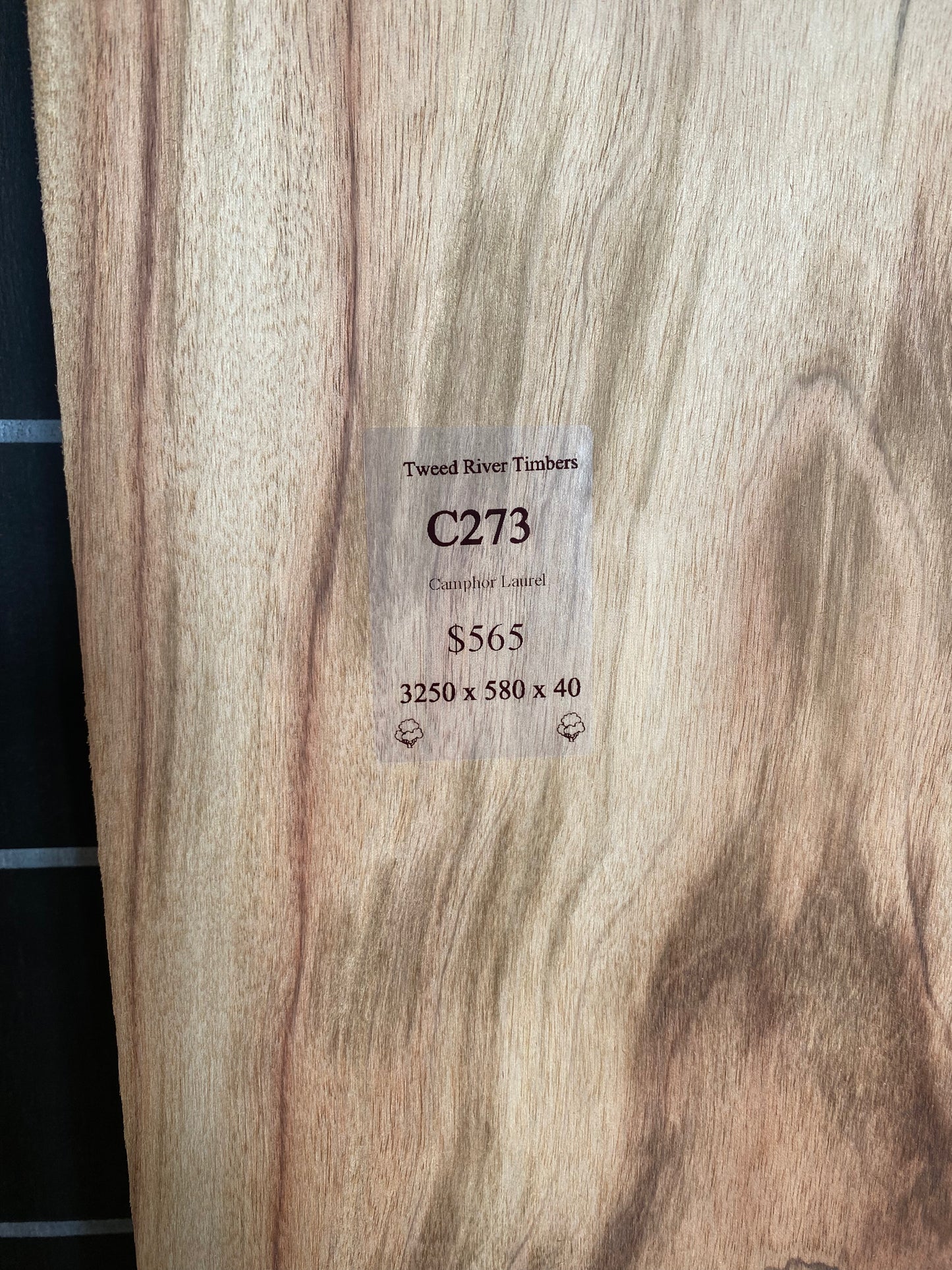 Camphor Laurel Slab- Sanded