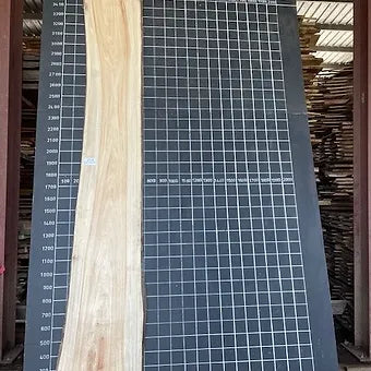 Camphor Laurel Slab