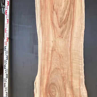 Camphor Laurel Slab