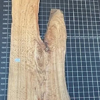 Camphor Laurel Slab