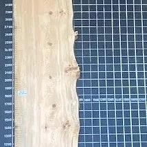 Bunya Pine Slab