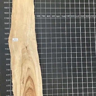 Camphor Laurel Slab - sealed