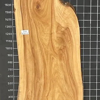 Camphor Laurel Slab