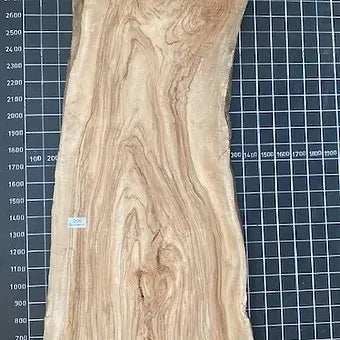 Camphor Laurel Slab