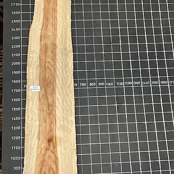 Camphor Laurel Slab