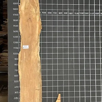 Brushbox Slab