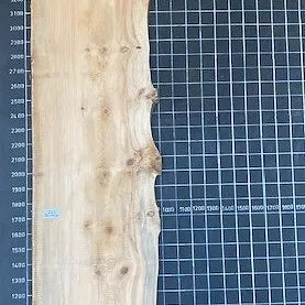 Bunya Pine Slab