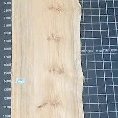 Bunya Pine Slab