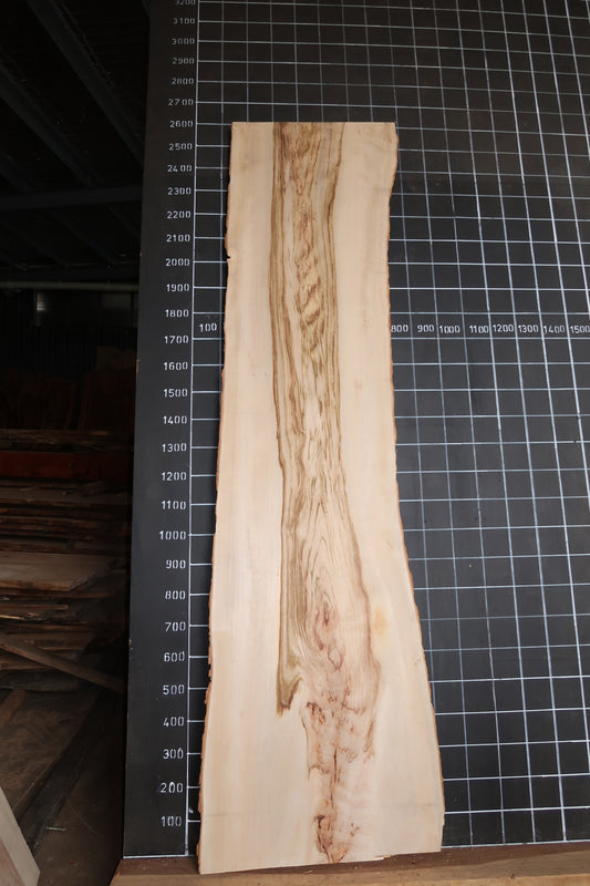 Camphor Laurel Slab - Sanded