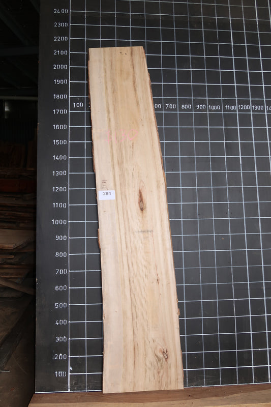 Camphor Laurel Slab - Sanded