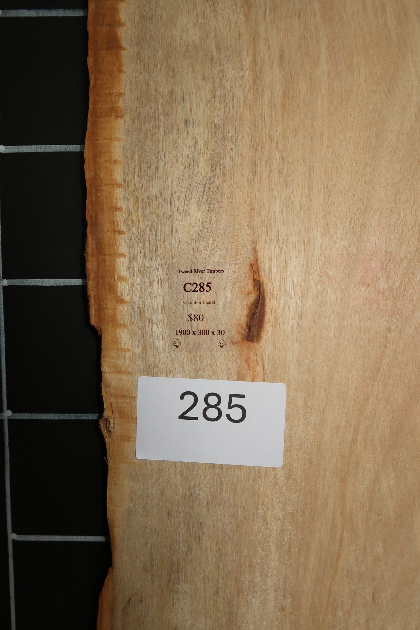 Camphor Laurel Slab- Sanded