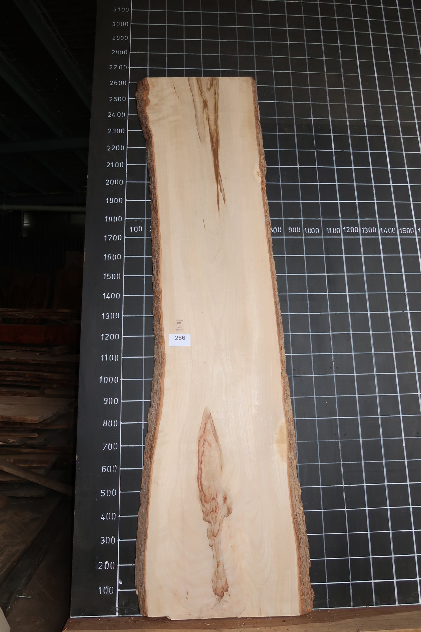 Camphor Laurel Slab - Sanded