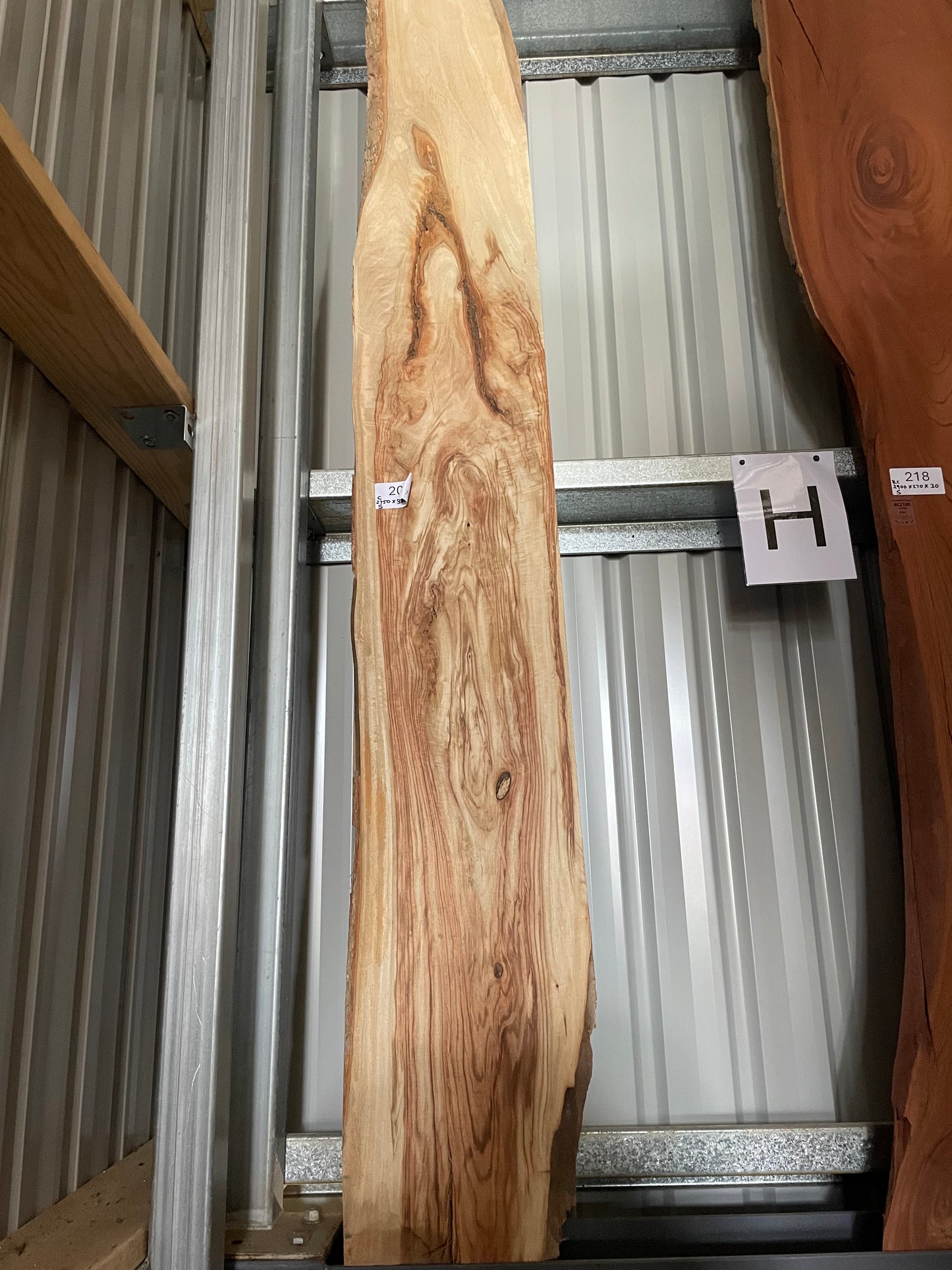 Camphor Laurel Slab