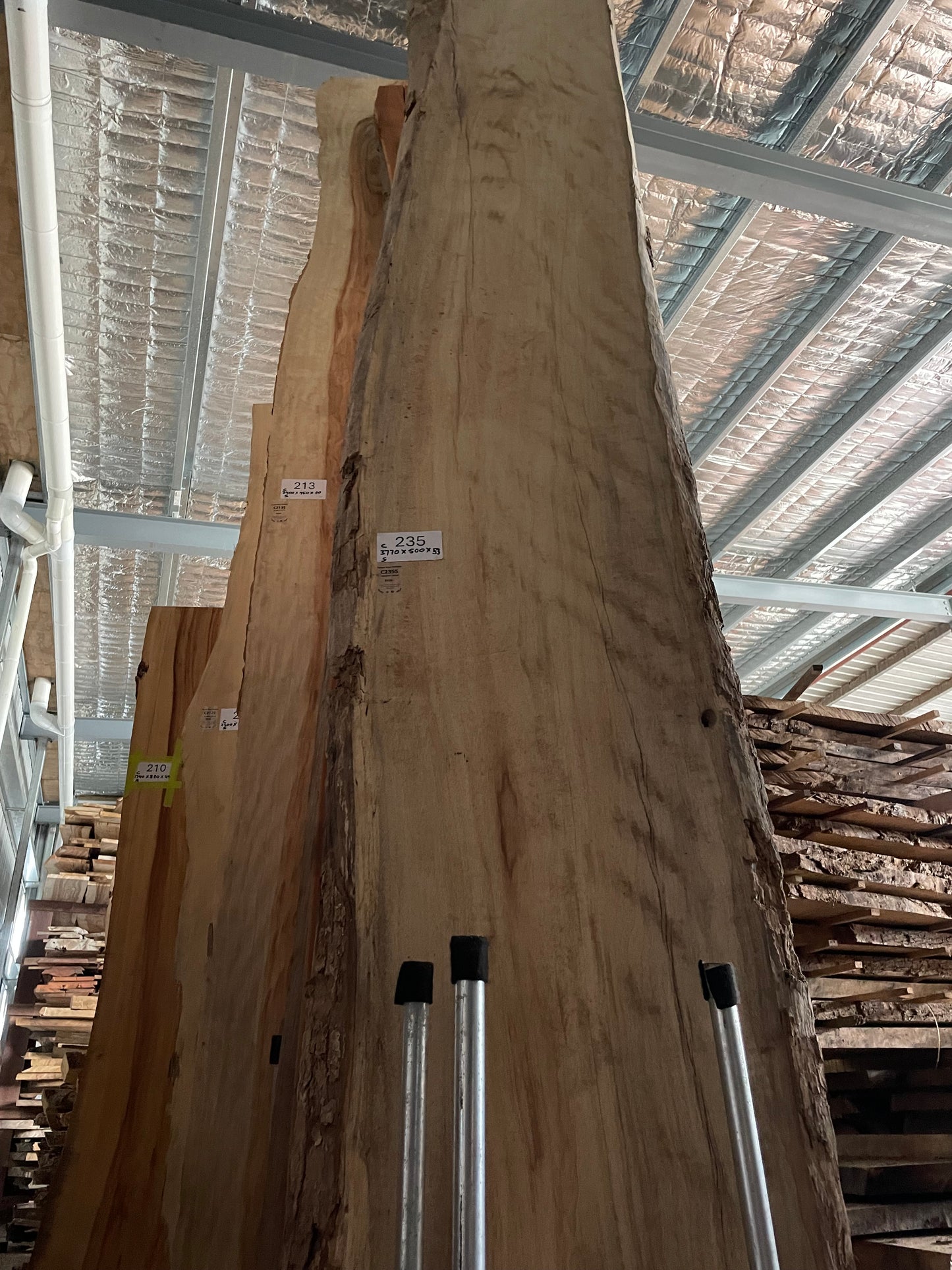 Camphor Laurel Slab