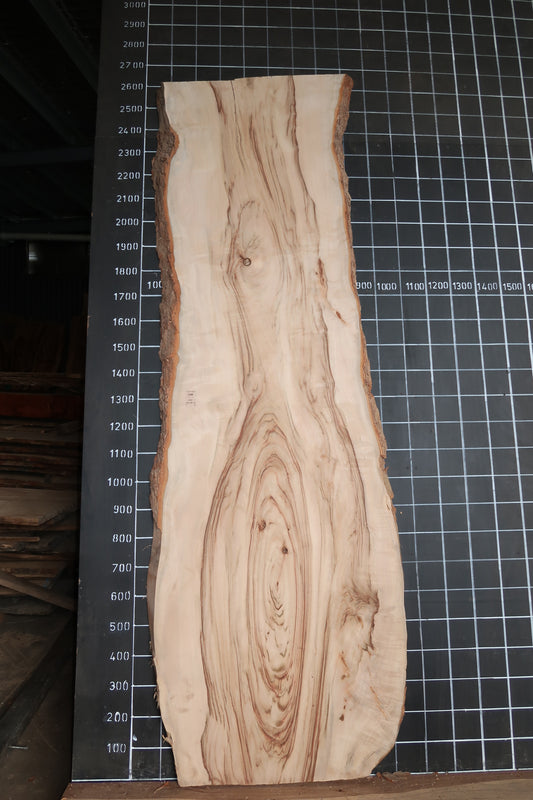Camphor Laurel Slab- Sanded