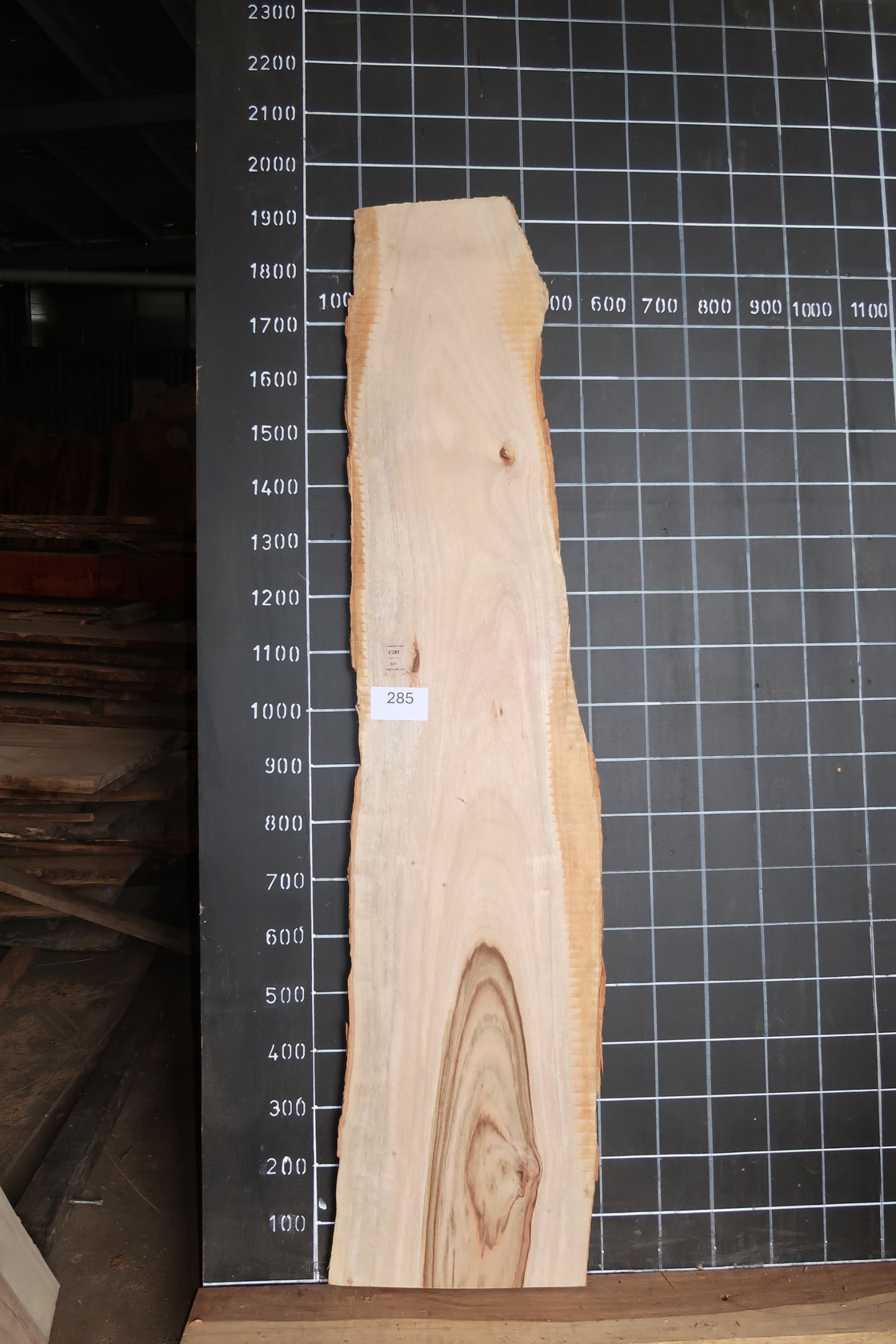 Camphor Laurel Slab- Sanded