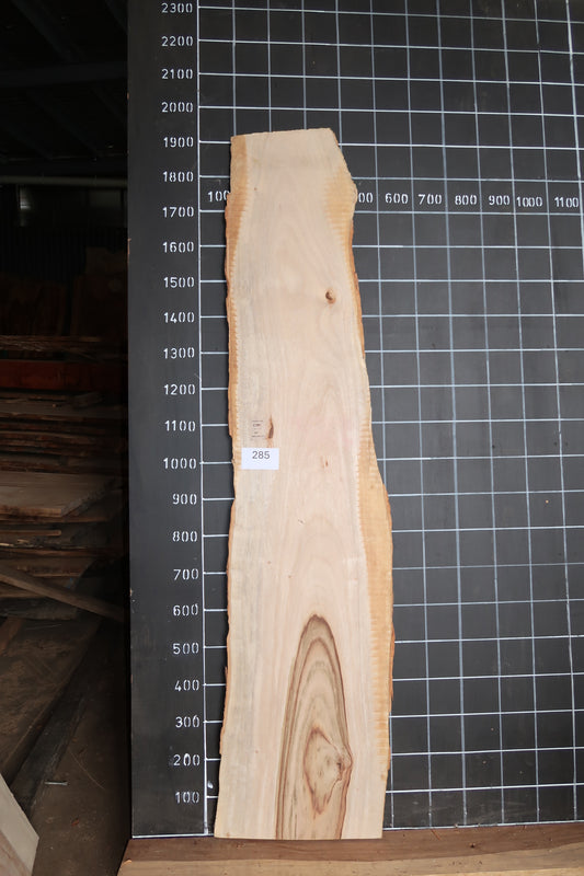 Camphor Laurel Slab- Sanded
