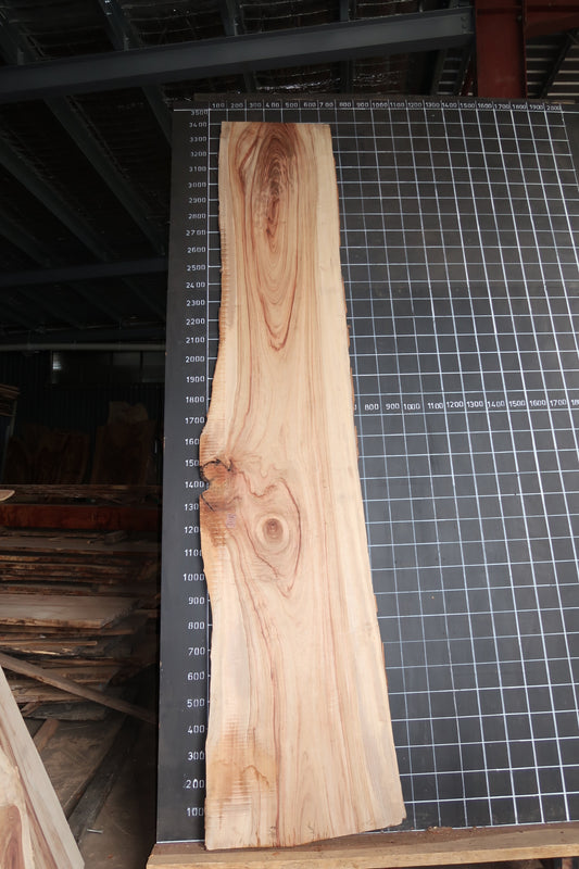 Camphor Laurel Slab- Sanded