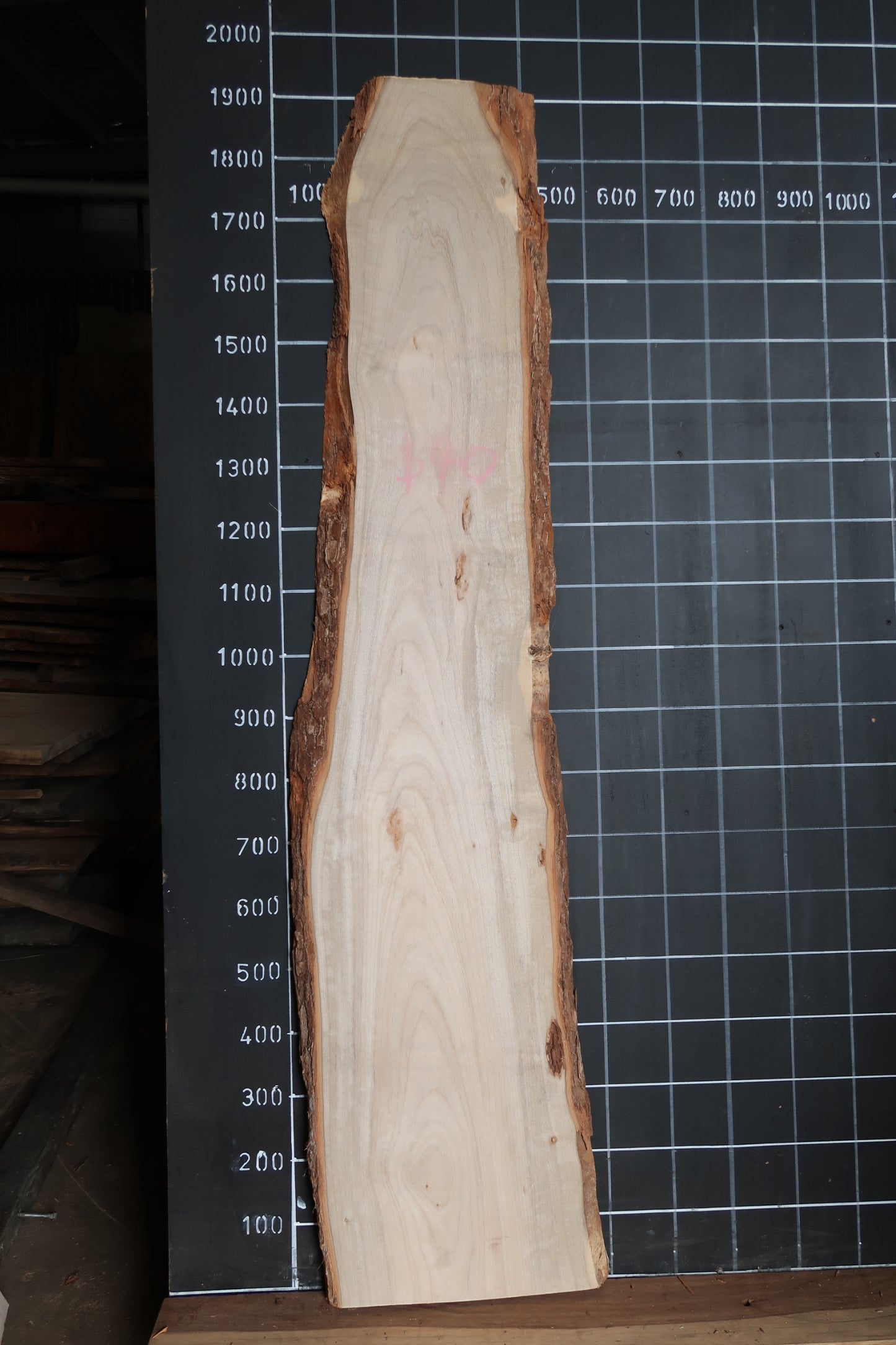 Camphor Laurel Slab- Sanded