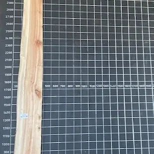 Camphor Laurel Slab